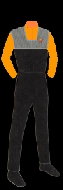 YWeste
